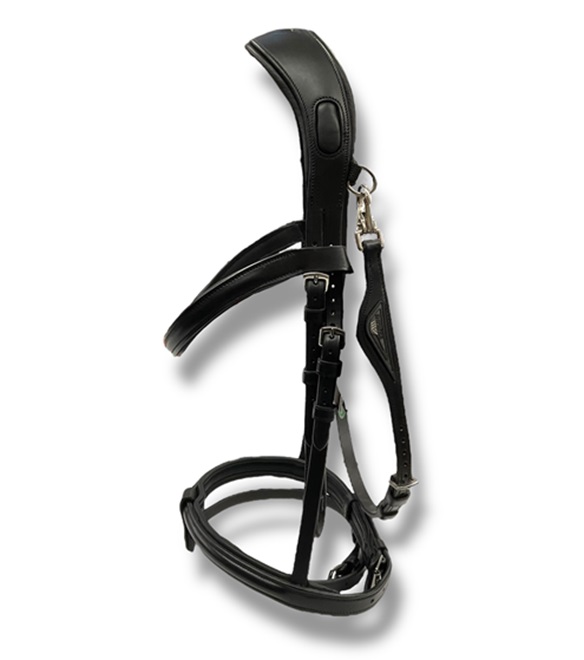 TESTIERA CLASSICA ANATOMIC EQUILINE Briglie 